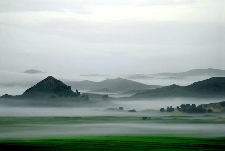 电子智能绿色